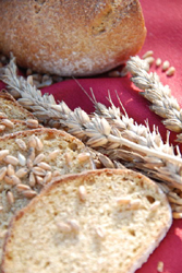 自家製小麦のパン